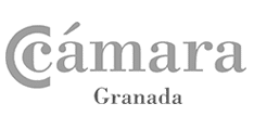 Camara-Granada-234x119